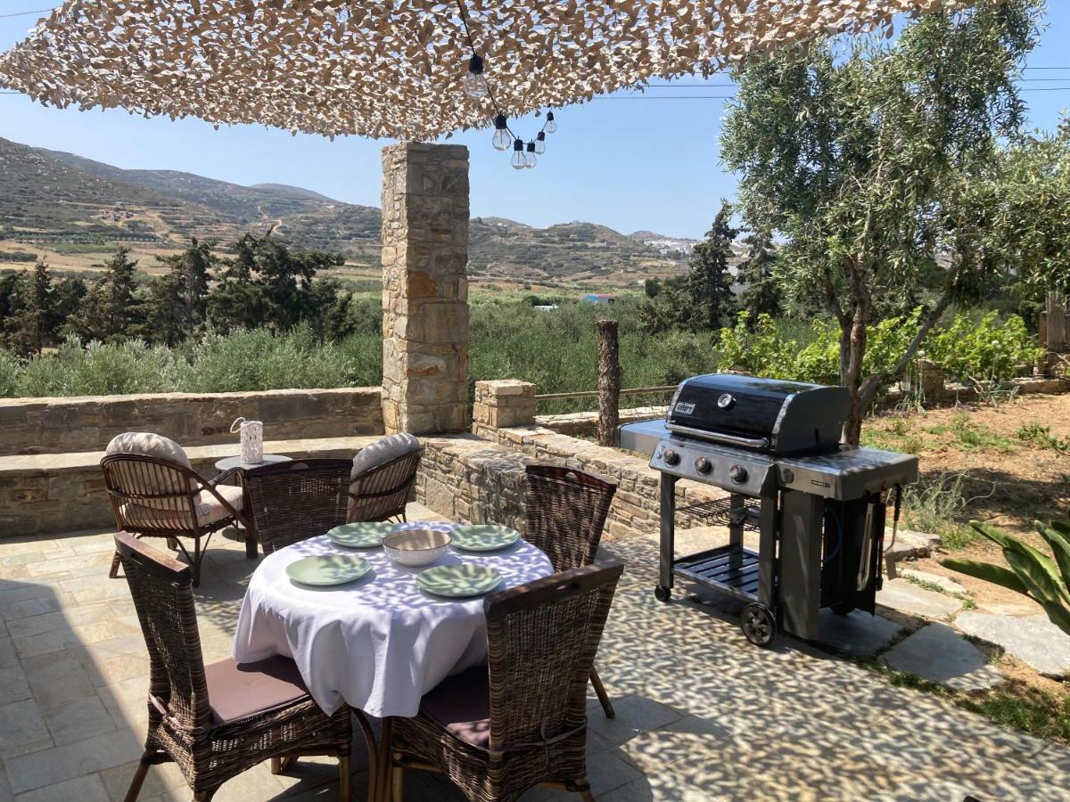 Ninemia Naxos Suites Agios Thaleleos Bagian luar foto